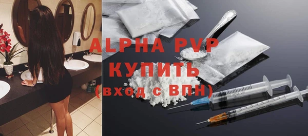 PSILOCYBIN Бородино