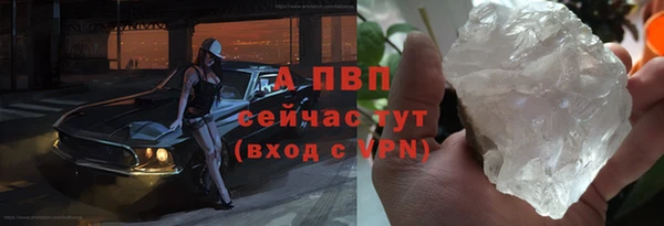 PSILOCYBIN Бородино