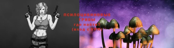PSILOCYBIN Бородино