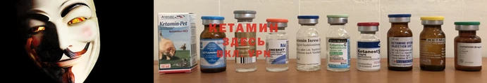 PSILOCYBIN Бородино