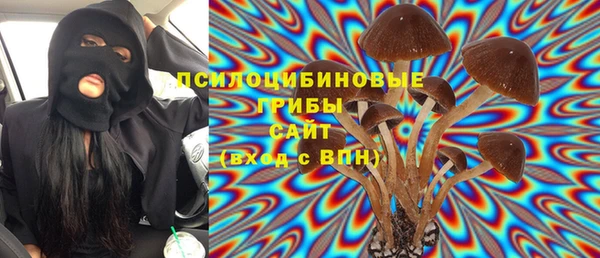 PSILOCYBIN Бородино