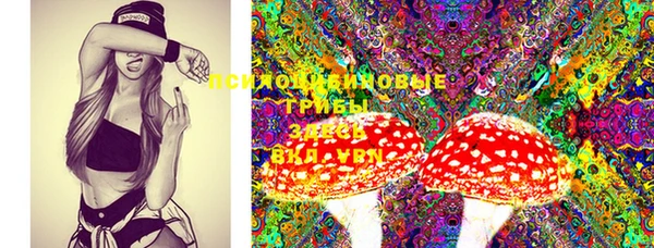 PSILOCYBIN Бородино