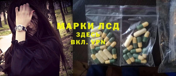 PSILOCYBIN Бородино